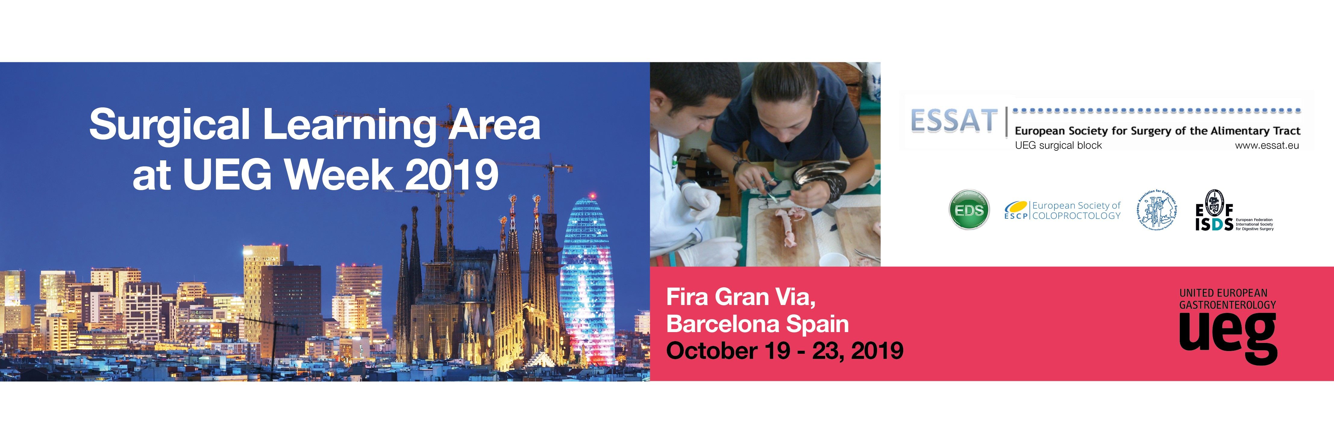 Registration is now open for the UEG Week 2019 Surgical Learning Area